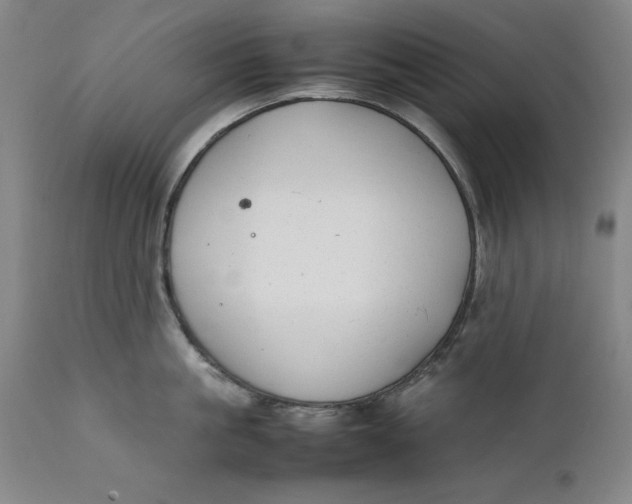 X0000111650861200908071406