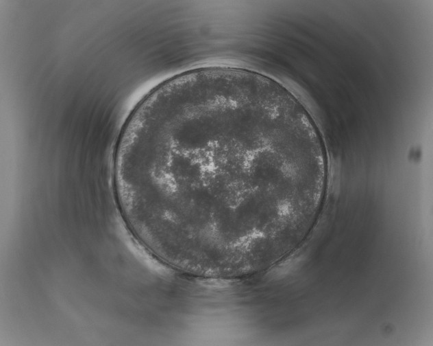 X0000111650862200908071406
