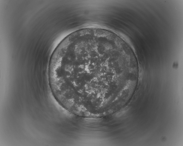 X0000111650863200908071406