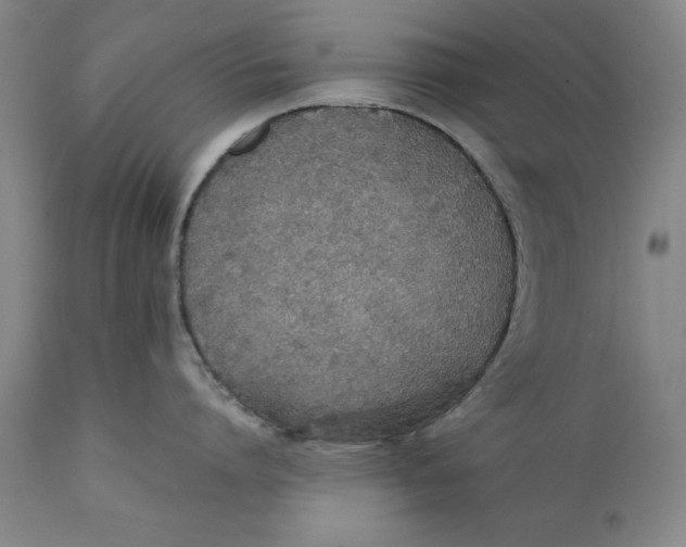X0000111650864200908071406