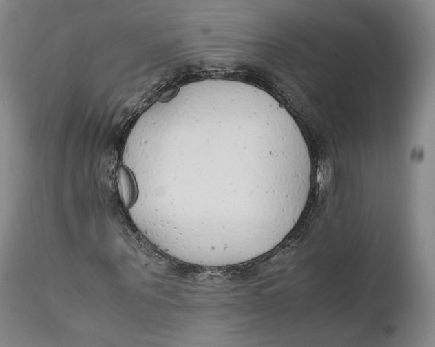 X0000111650867200908071405