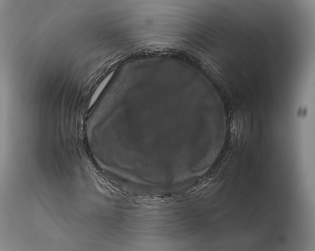 X0000111650868200908071405
