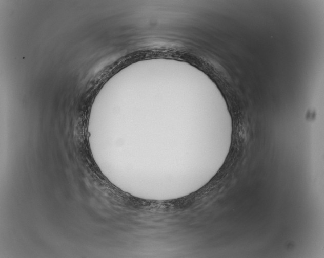 X0000111650869200908071405