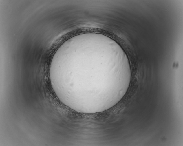 X0000111650870200908071405
