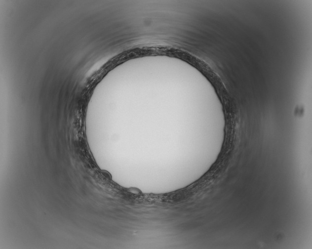 X0000111650871200908071405