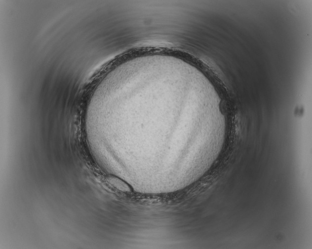 X0000111650872200908071405