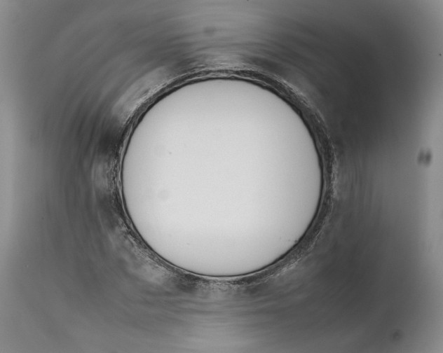 X0000111650873200908071405