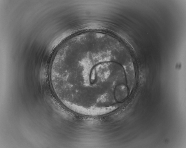 X0000111650874200908071405