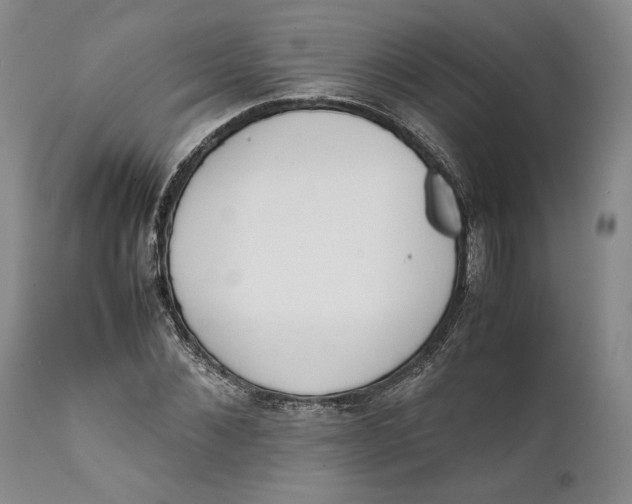 X0000111650876200908071405