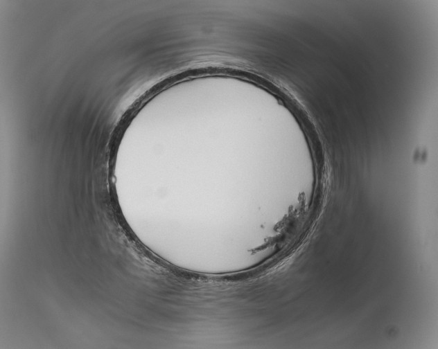 X0000111650877200908071405