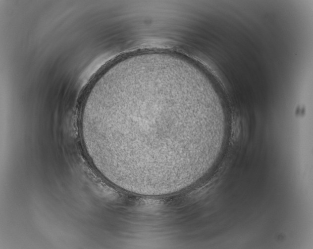 X0000111650878200908071405