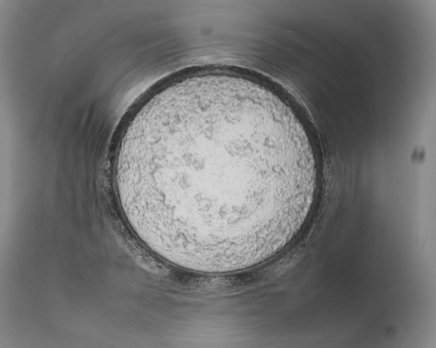 X0000111650879200908071405