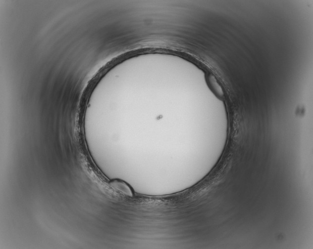 X0000111650880200908071405