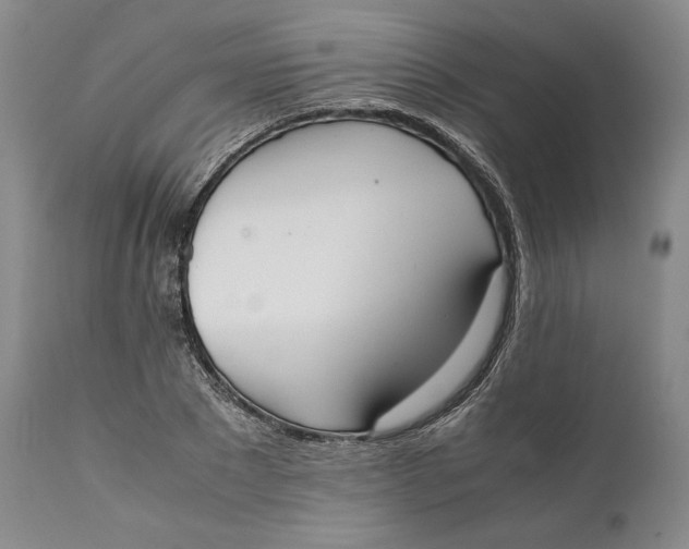 X0000111650881200908071405