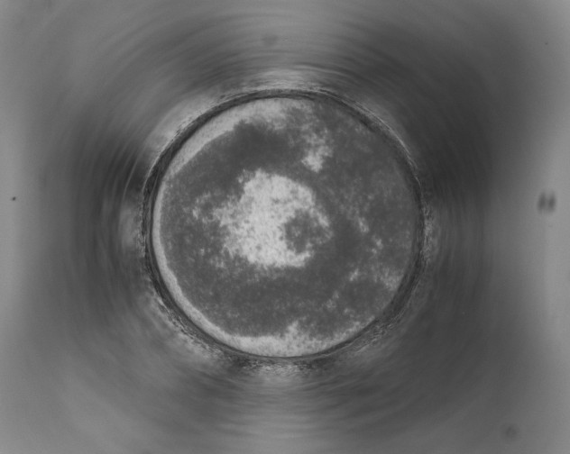X0000111650882200908071405