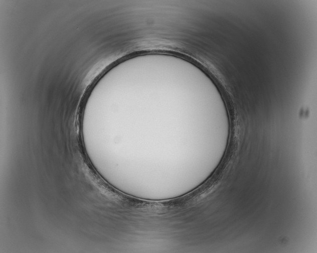 X0000111650885200908071405