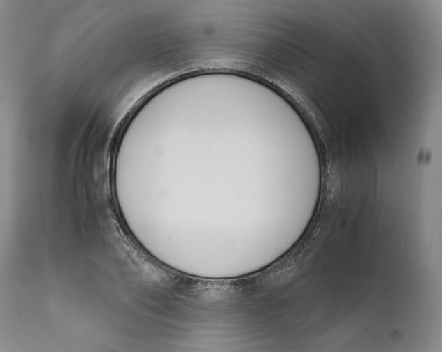 X0000111650886200908071405