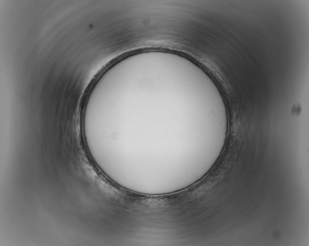 X0000111650888200908071405