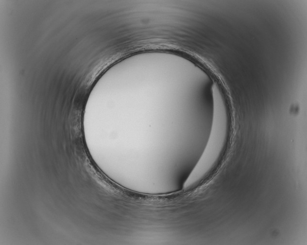 X0000111650889200908071405