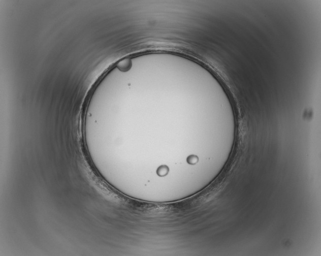 X0000111650891200908071405