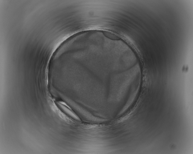 X0000111650892200908071405