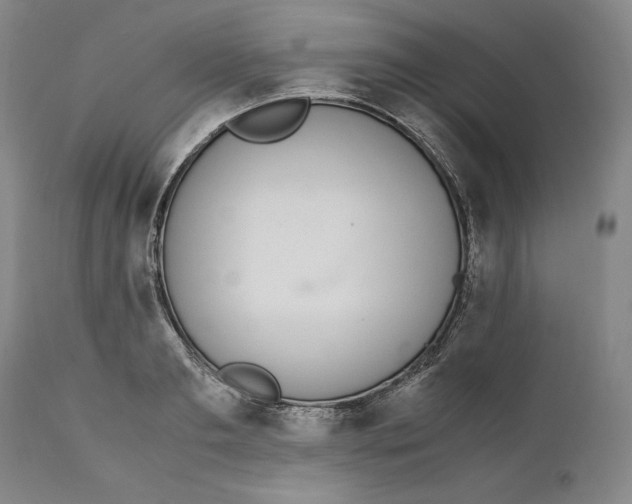 X0000111650893200908071405