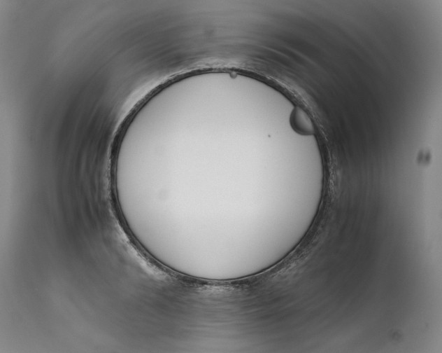 X0000111650894200908071405