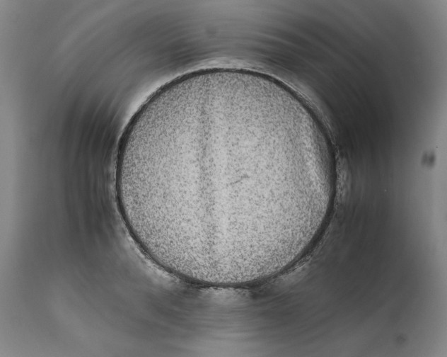 X0000111650896200908071405