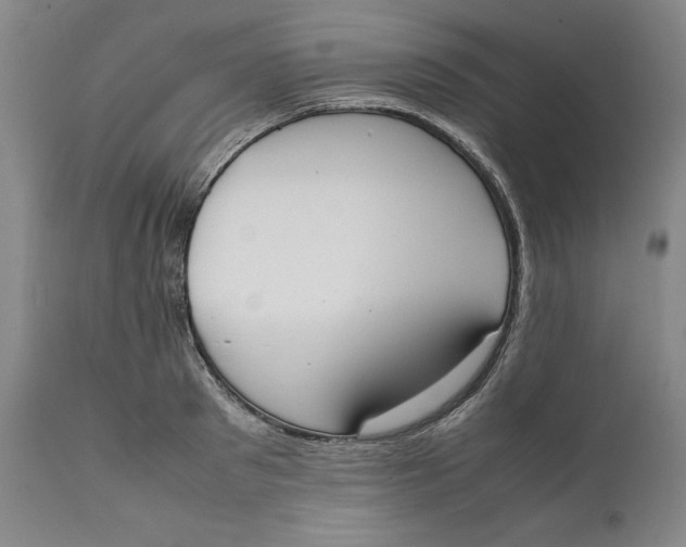 X0000111650897200908071405