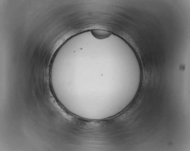 X0000111650898200908071405