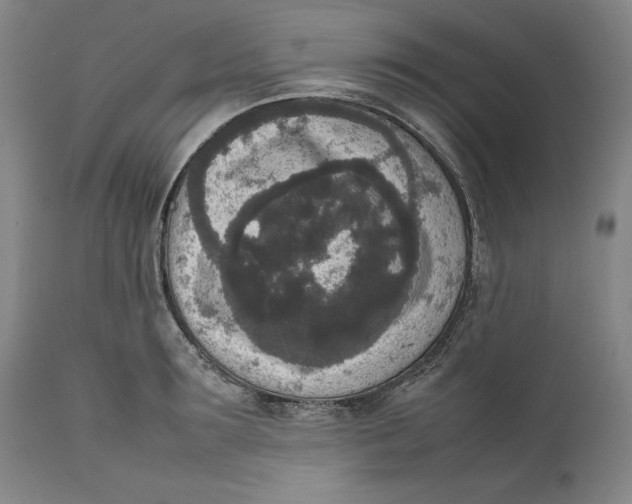 X0000111650899200908071405