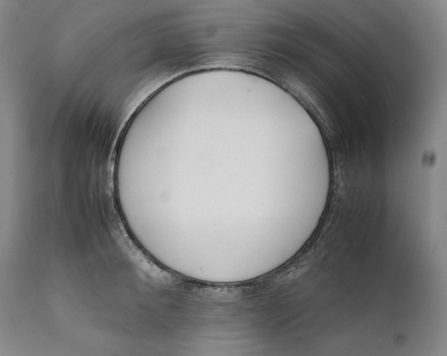 X0000111650900200908071405