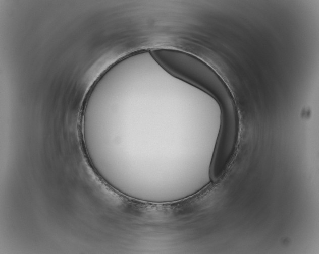 X0000111650901200908071404