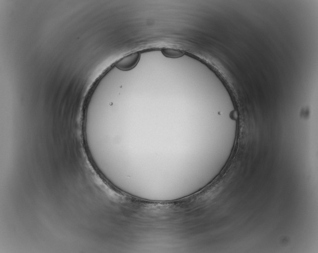 X0000111650902200908071404
