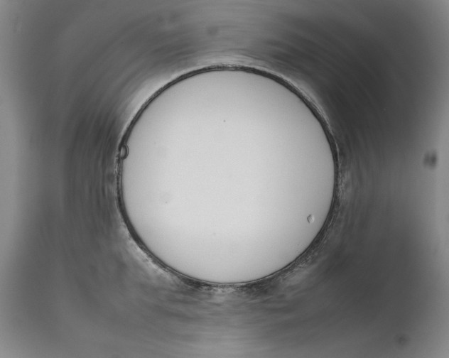 X0000111650903200908071404