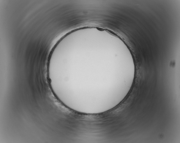 X0000111650904200908071404