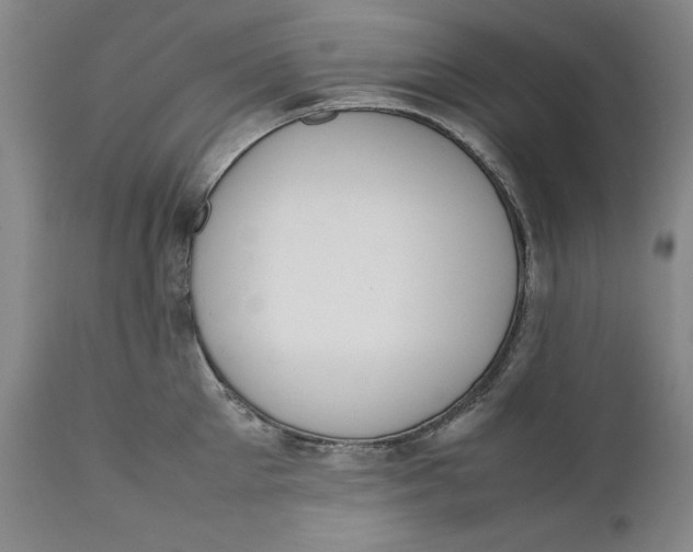 X0000111650905200908071404