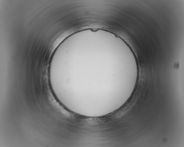 X0000111650906200908071404