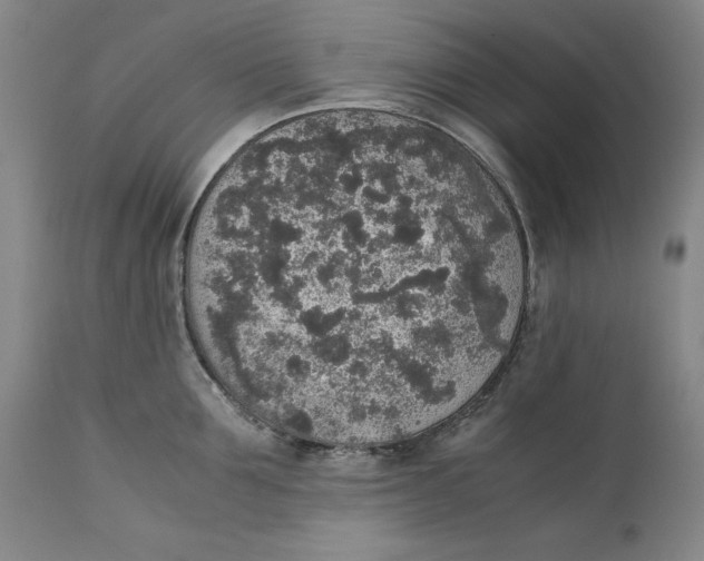 X0000111650907200908071404