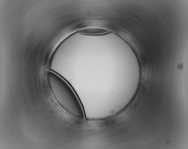 X0000111650908200908071404