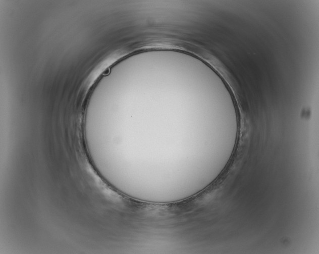 X0000111650909200908071404