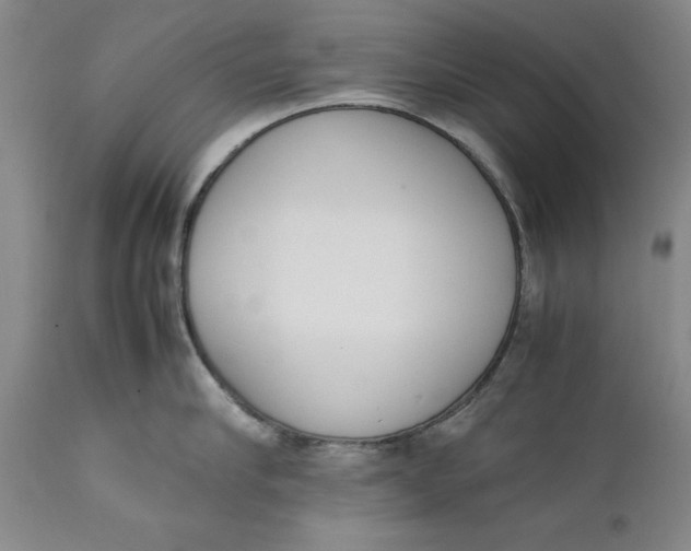 X0000111650910200908071404