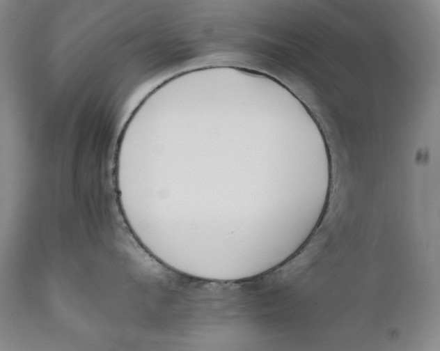 X0000111650912200908071404