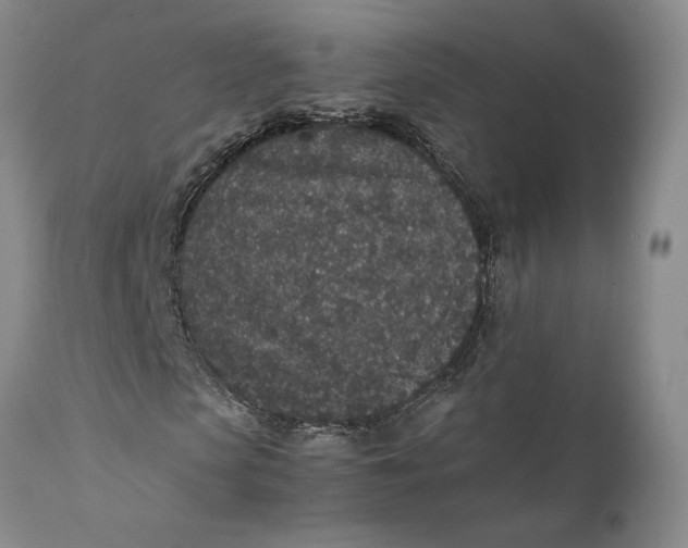 X0000111650913200908071404