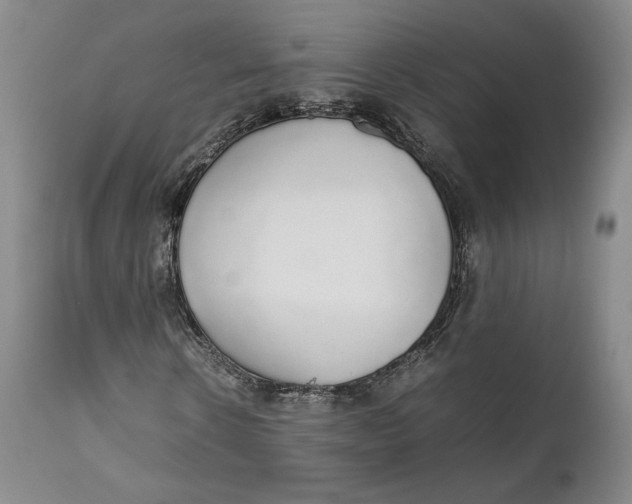 X0000111650914200908071404
