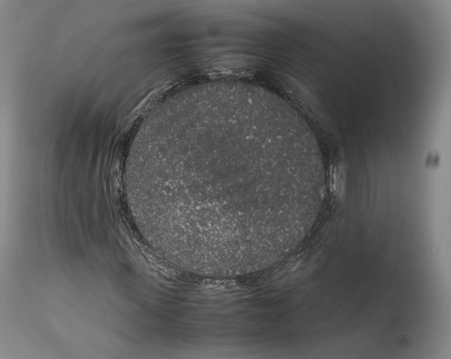 X0000111650915200908071404
