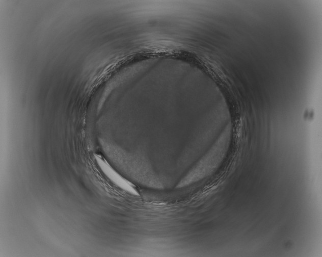 X0000111650916200908071404