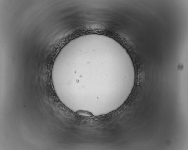 X0000111650917200908071404
