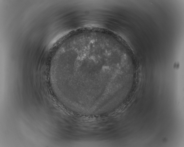 X0000111650919200908071404