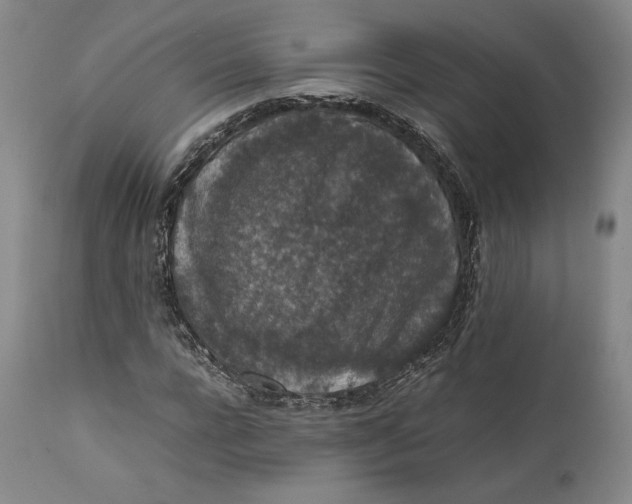 X0000111650920200908071404